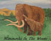 Anthropology and Museum Studies